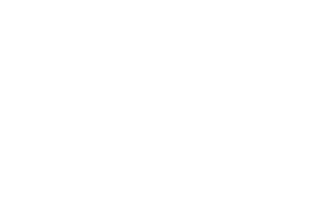 REY DEL GOLPE
